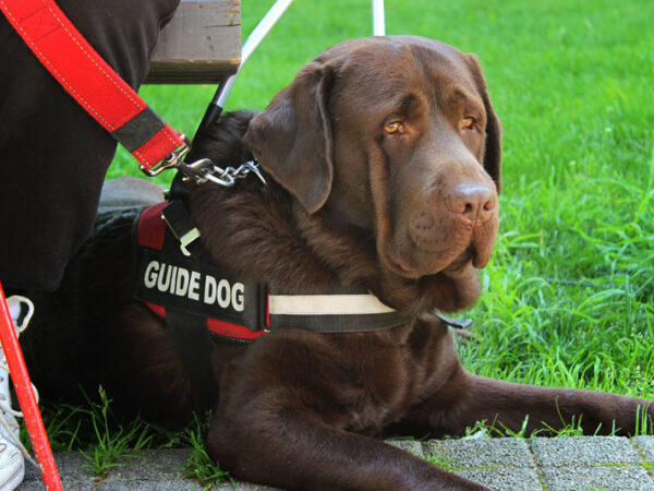 Renter’s Choice Pet Program